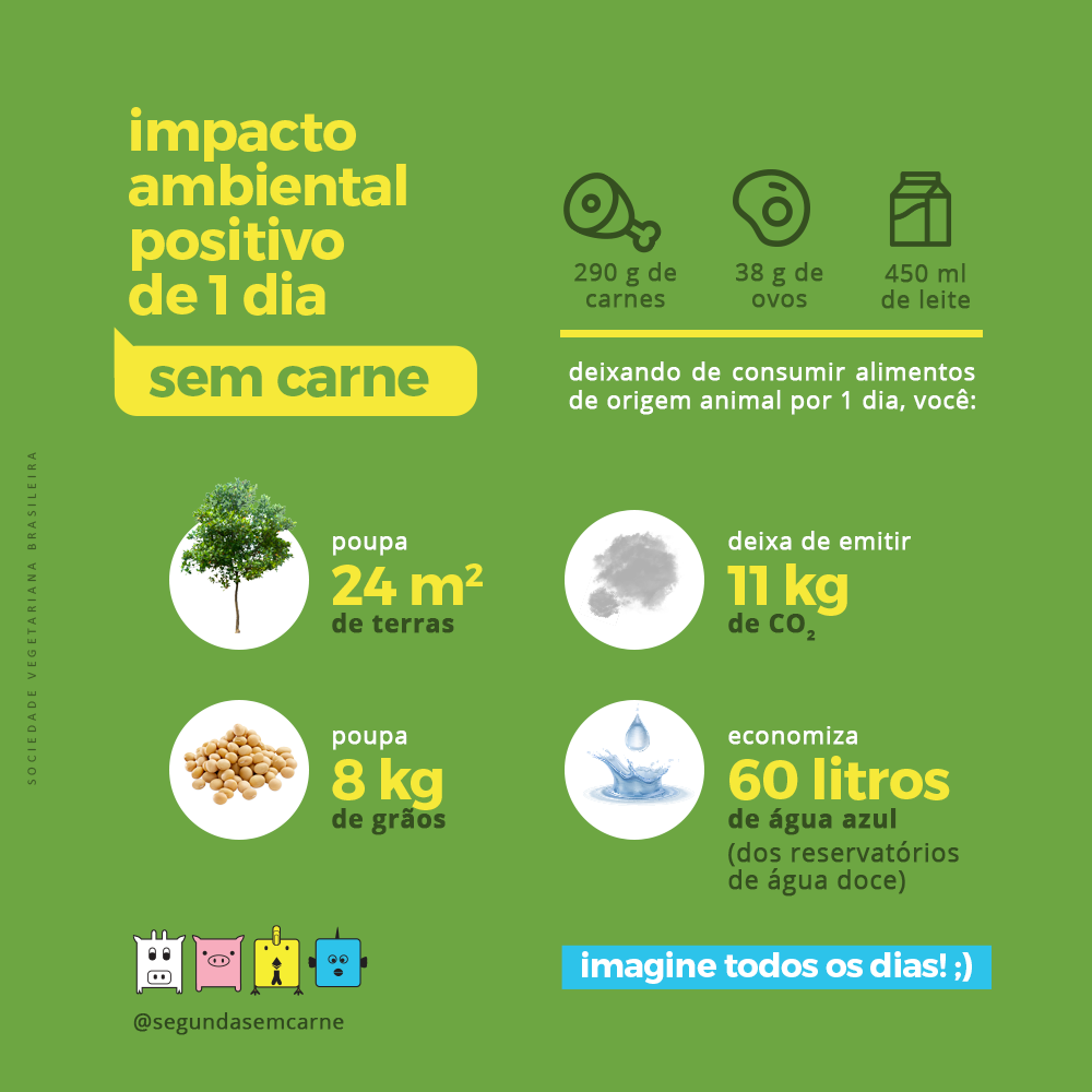 SSC impacto positivo2020