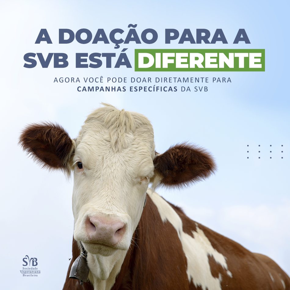 SVB Doação Especifica Feed 1