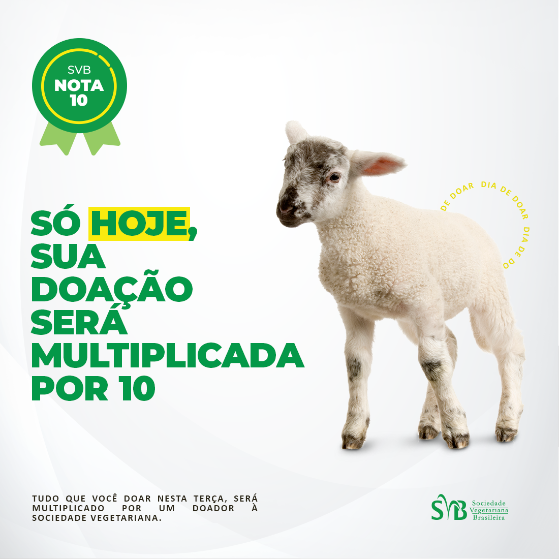 SVB dia de doar 2020