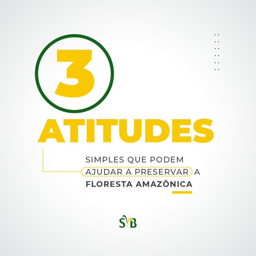 Confira TrÊs Atitudes Simples Que Podem Ajudar A Preservar A Floresta AmazÔnica 1879